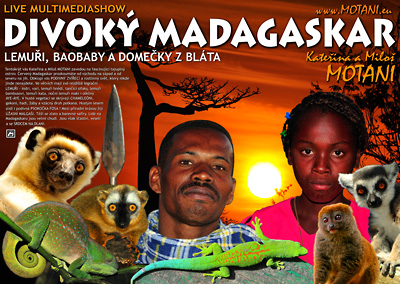 podrobn informace k psmu DIVOK MADAGASKAR